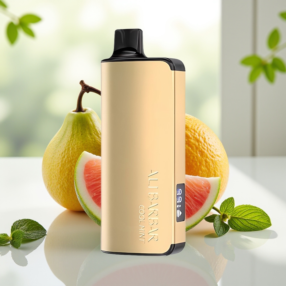 Alibarbar Ingot 9000 Puffs Disposable Vape Menta Refrescante con Pantalla LED y 2350mAh