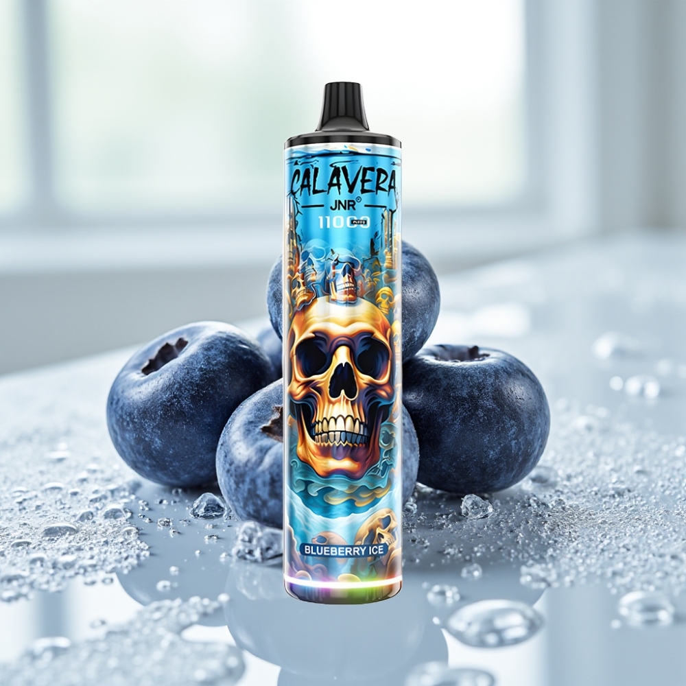 JNR Calavera 11000 Puffs Disposable Vape Arándano Helado Tipo-C