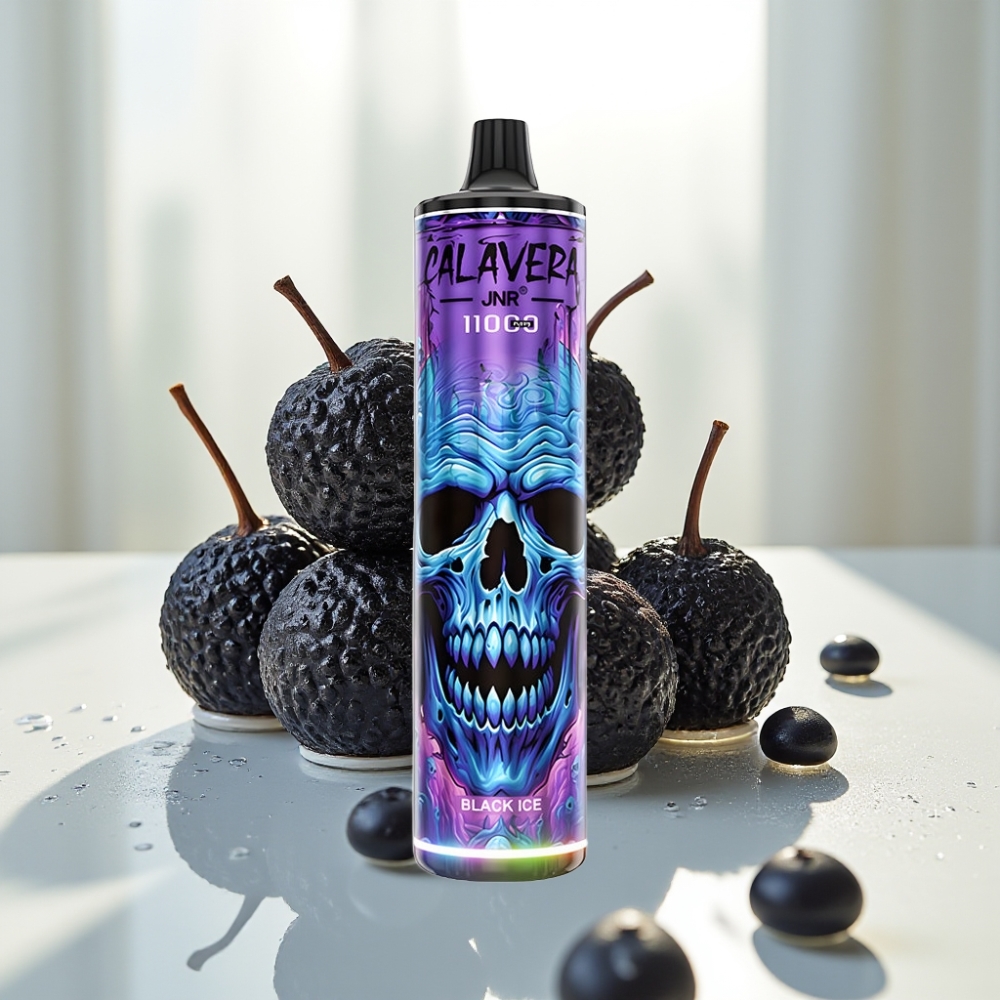 JNR Calavera 11000 Puffs Disposable Vape Hielo Negro con Carga Type-C y 21ml