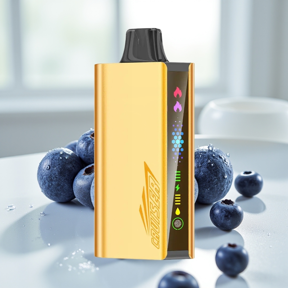 JNR Cruiser 12000 Puffs No-Charge Disposable Vape Explosión de Arándano con Pantalla Animada y Cuerpo de Aluminio
