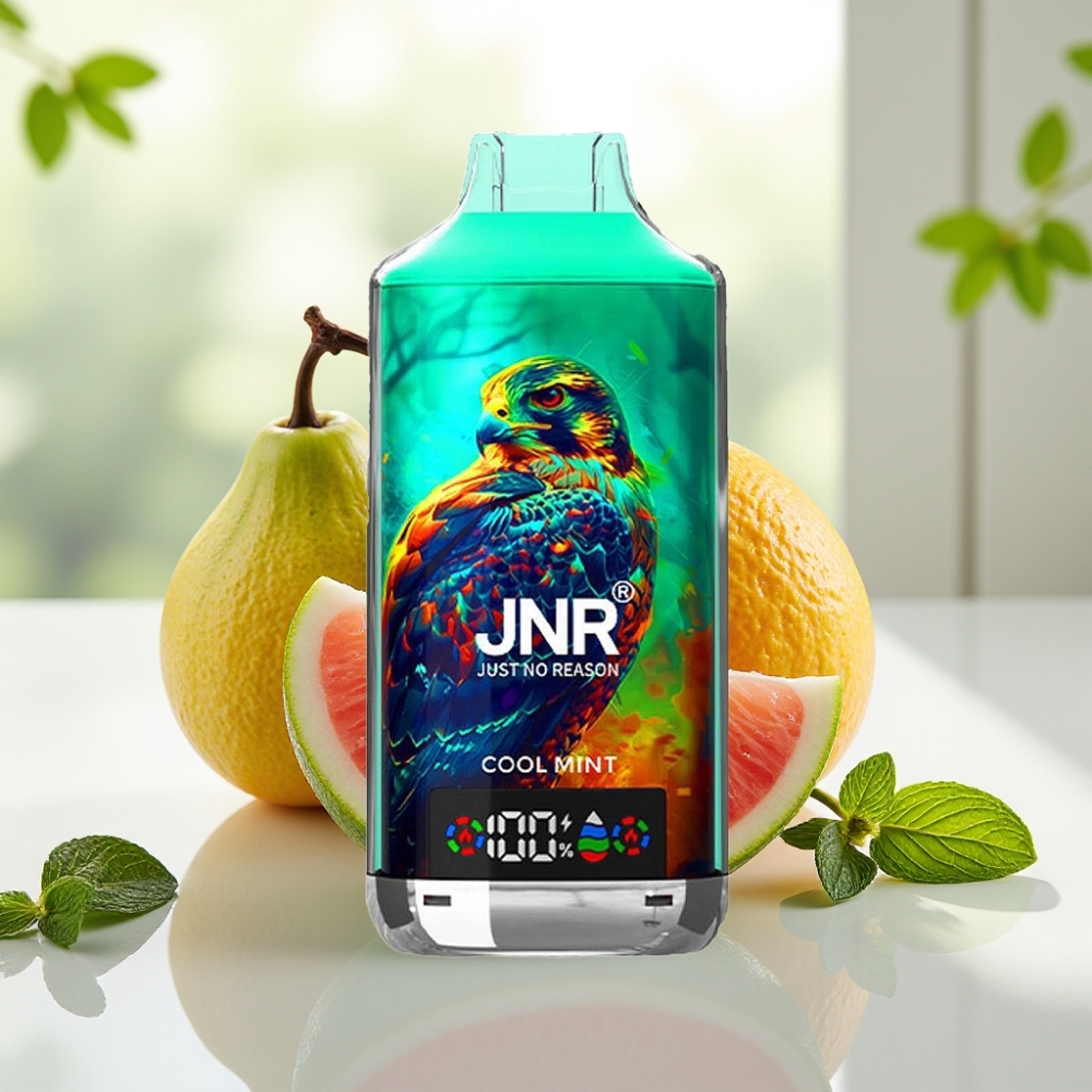 JNR Falcon X 18000 Puffs 24ml Doble Malla Menta Fresca