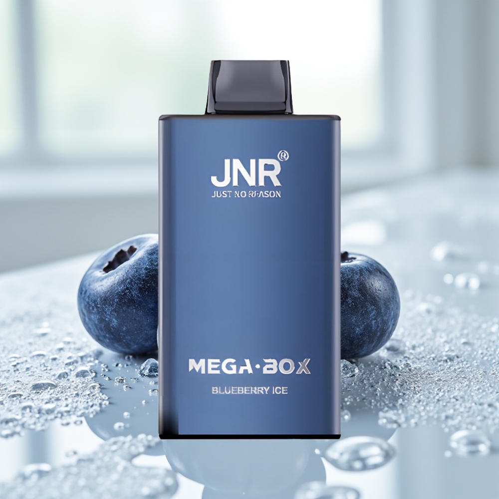 JNR Mega Box 25000 Puffs Disposable Vape Arándano Helado con Carga Tipo-C y Batería 850mAh