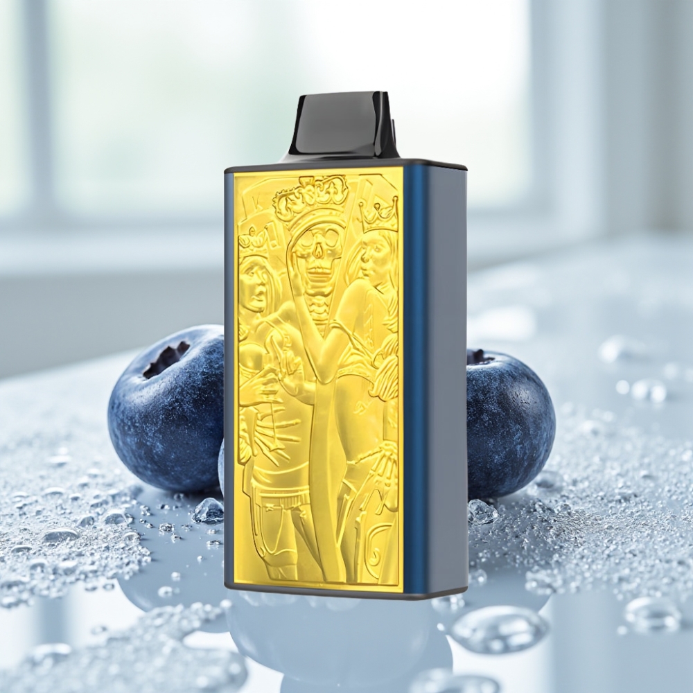JNR Mega Box 25000 Puffs Disposable Vape Arándano Helado con Carga Tipo-C y Batería 850mAh