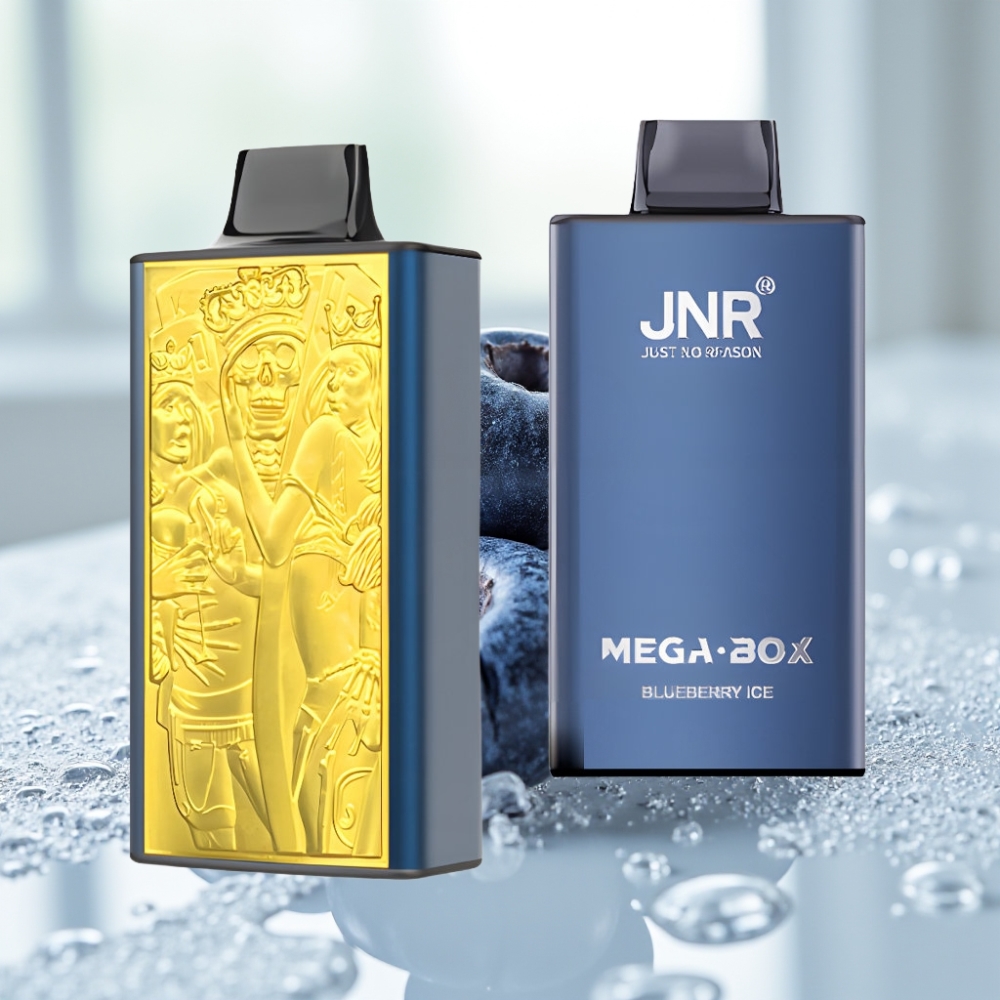 JNR Mega Box 25000 Puffs Disposable Vape Arándano Helado con Carga Tipo-C y Batería 850mAh