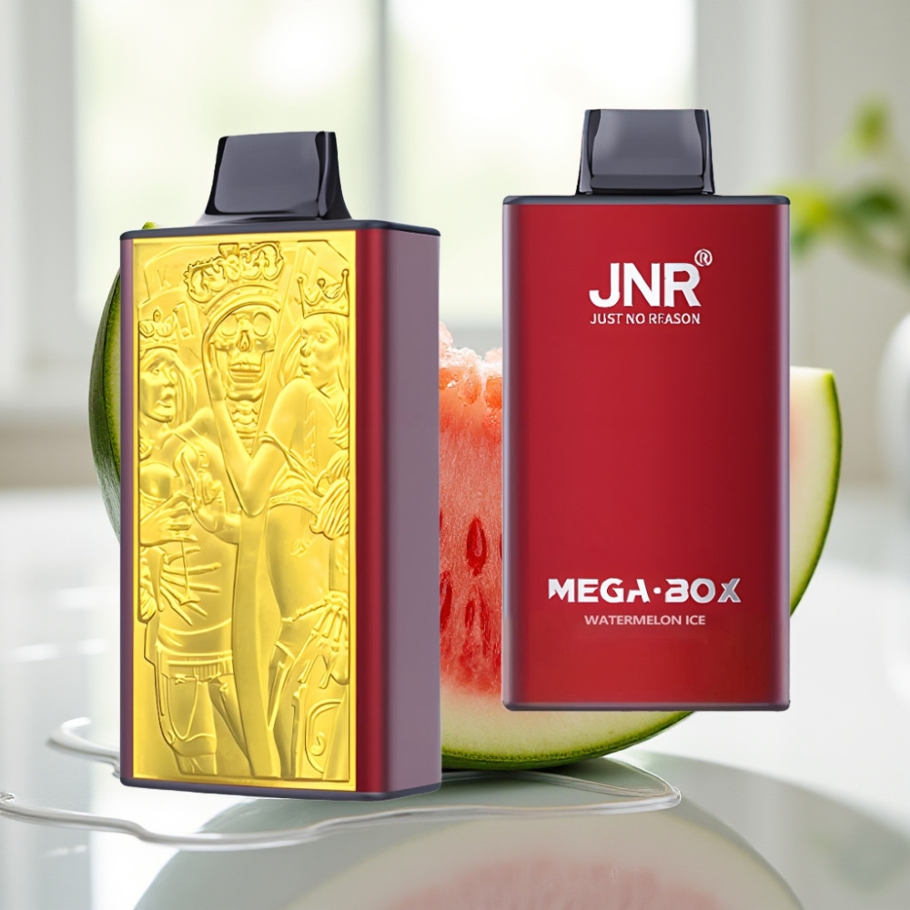 JNR Mega Box 25000 Puffs Sandía Hielo Dual Mesh Coil 30ml